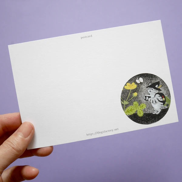 Post Card Style 24