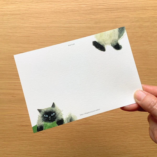 Post Card Style 38