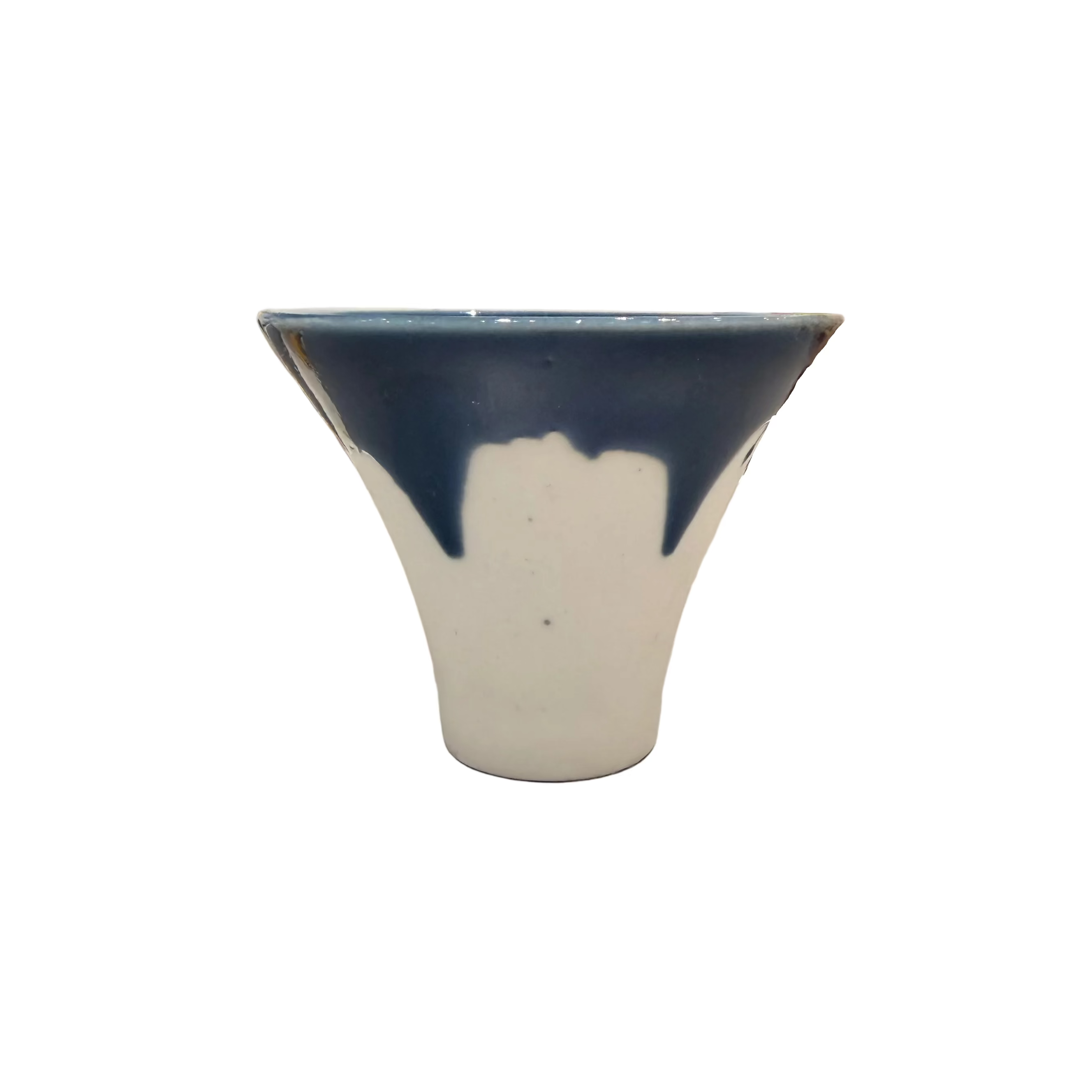 Mount Fuji Cup